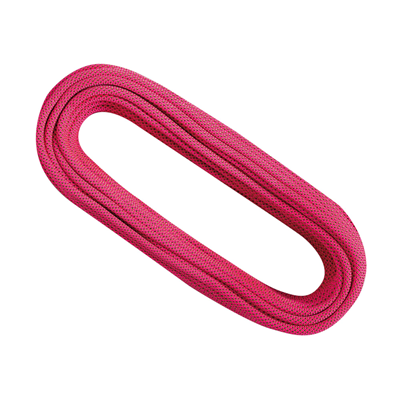 Singing Rock DNA 8.9 DRY