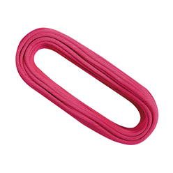 Singing Rock DNA 8.9 DRY