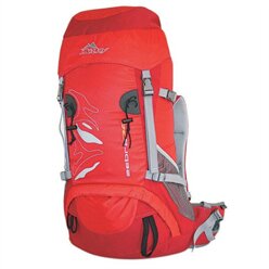 Doldy ZEBRA 38