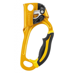 Petzl ASCENSION