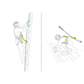 Petzl ASAP 2026